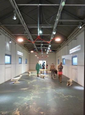 © Véronique Descatoire Albano, Case 12. 1er étage - Salle d’exposition temporaire.